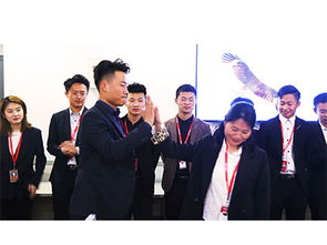 山東鼎基信息技術(shù) 深耕臨沂網(wǎng)站建設與網(wǎng)絡推廣，助力企業(yè)實現(xiàn)數(shù)字化騰飛