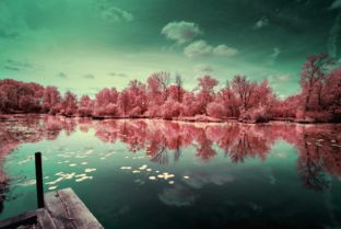 紅外攝影 捕捉光影之外，勾勒出世外桃源般的自然秘境